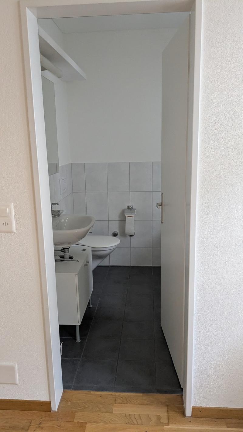 Charmante 3-Zimmer-Terrassenwohnung an der Maihofstrasse in Luzern (8)