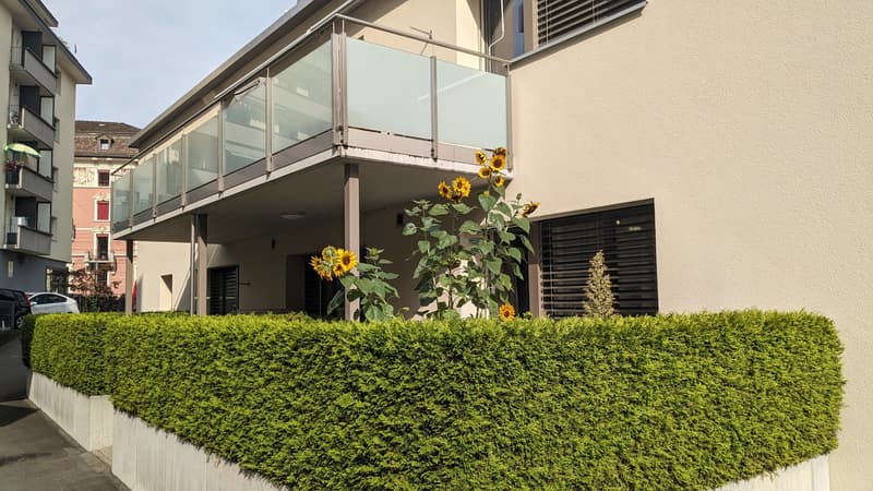 Charmante 3-Zimmer-Terrassenwohnung an der Maihofstrasse in Luzern (2)