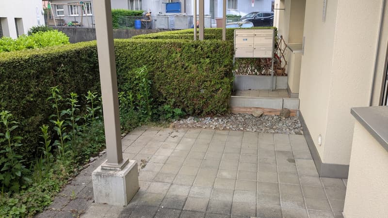 Charmante 3-Zimmer-Terrassenwohnung an der Maihofstrasse in Luzern (3)