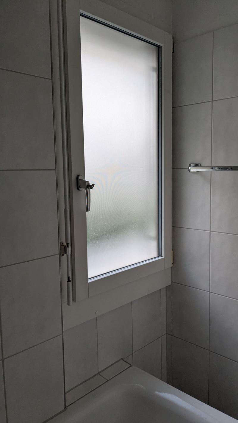 Charmante 3-Zimmer-Terrassenwohnung an der Maihofstrasse in Luzern (10)