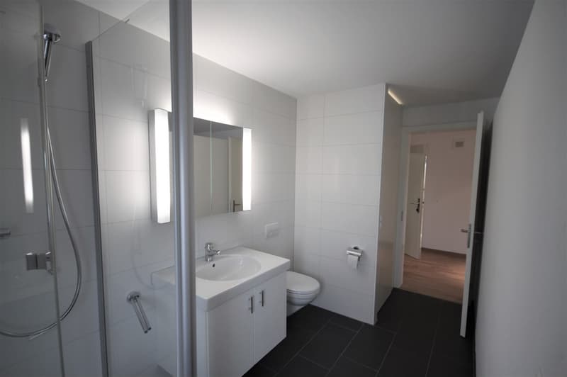 Moderne 2.5-Zimmer-Wohnung (67 m²) zentral in Wetzikon (6)