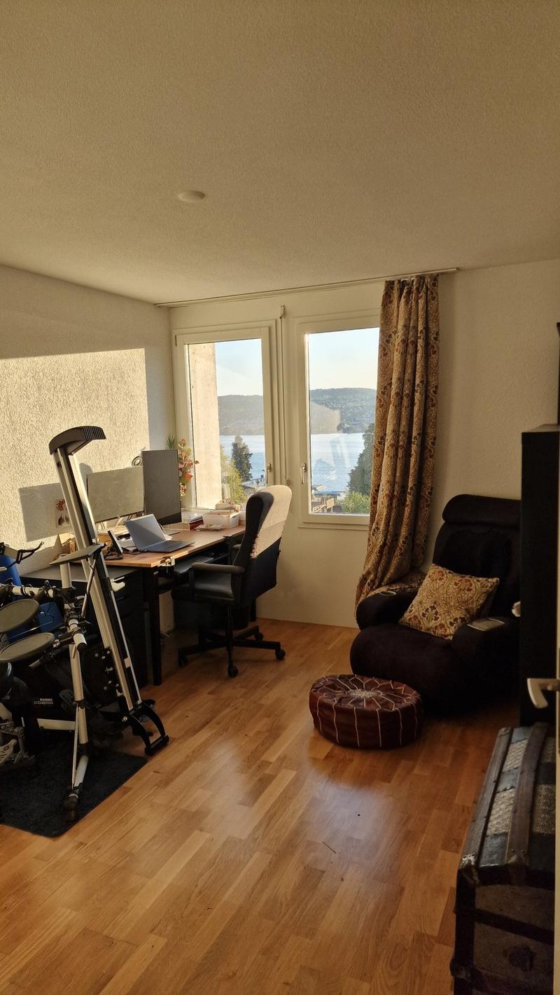 Sunny flat to sublet Aug-Dec 2026, convenient location in Thalwil (4)