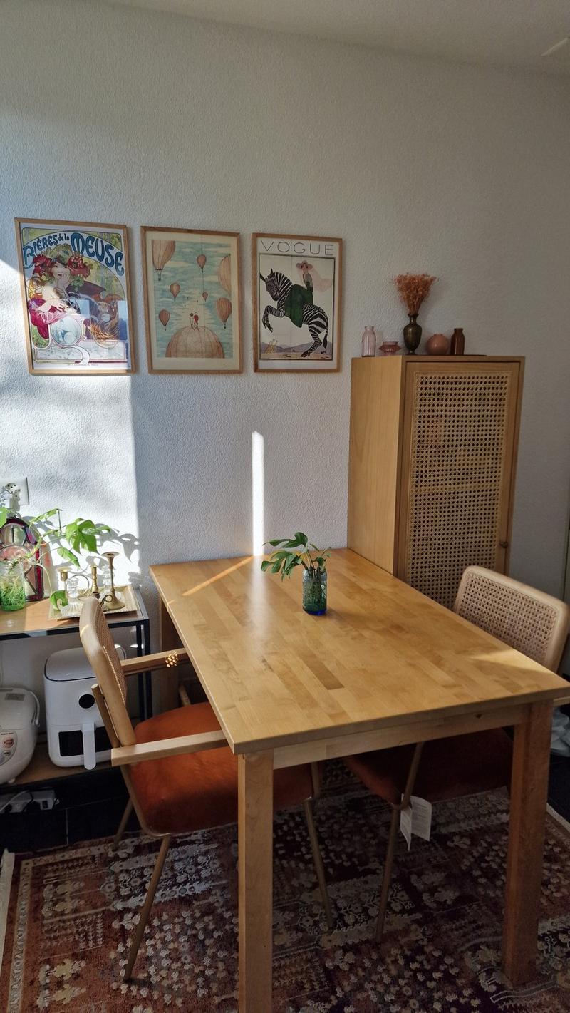 Sunny flat to sublet Aug-Dec 2026, convenient location in Thalwil (3)
