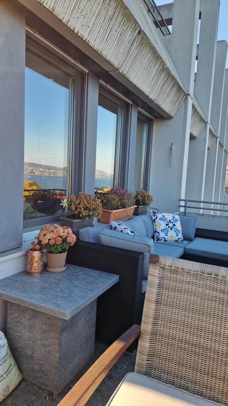 Sunny flat to sublet Aug-Dec 2026, convenient location in Thalwil (8)