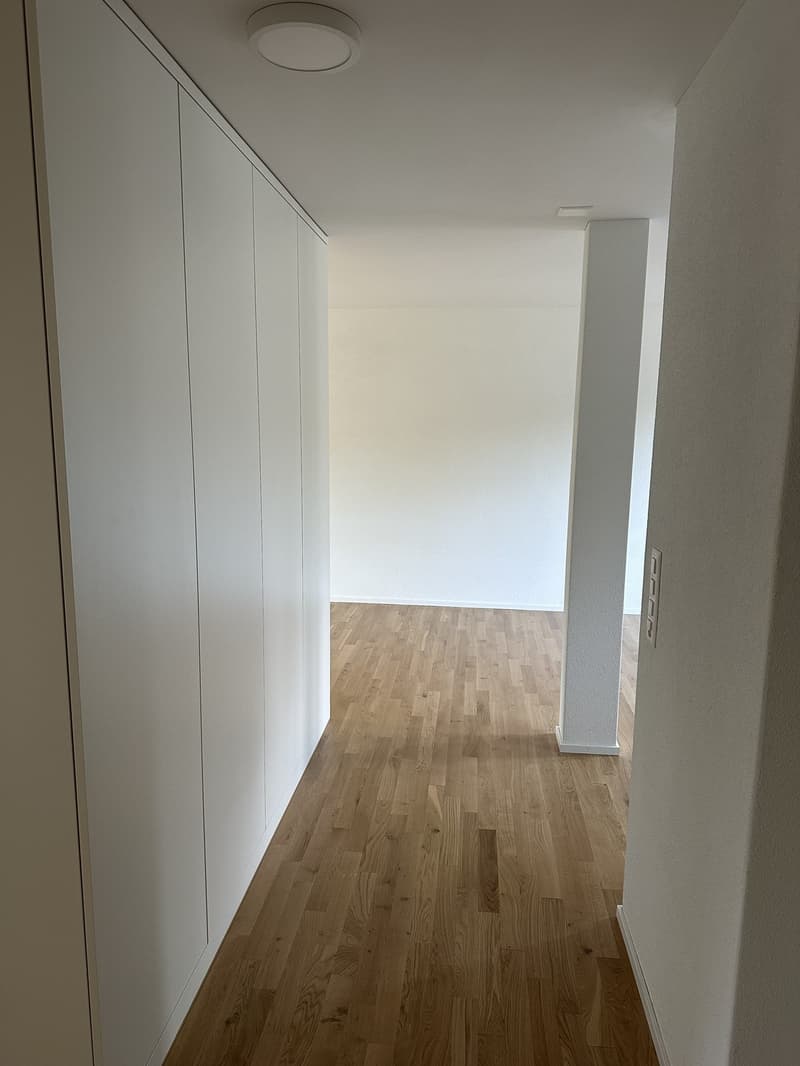 Appartamento 3,5 locali (6)