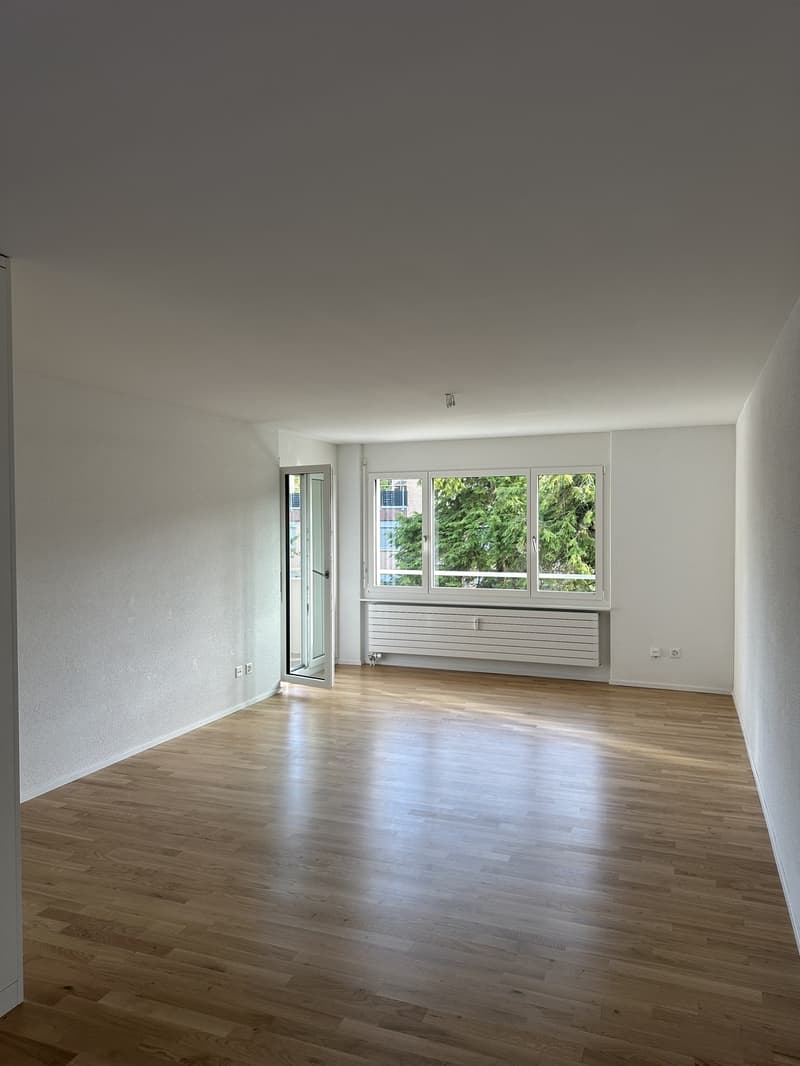 Appartamento 3,5 locali (3)