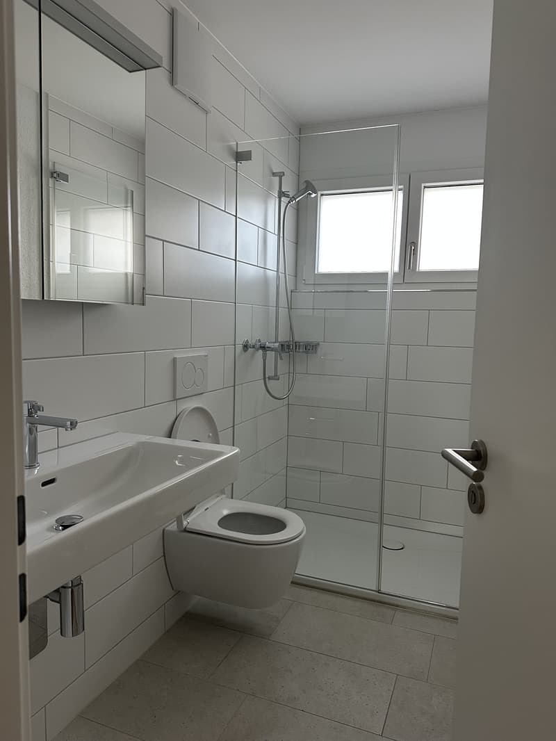 Appartamento 3,5 locali (9)