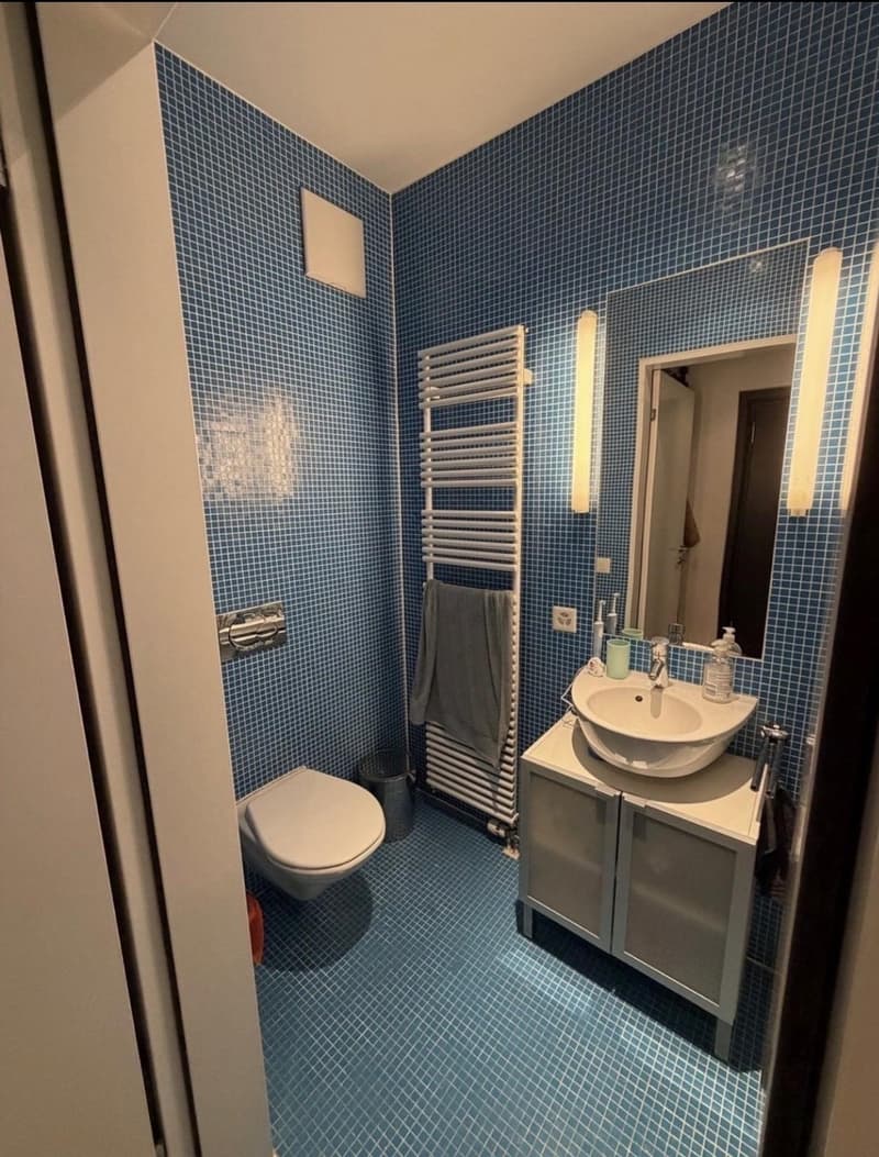 Chambre dans un appartement cosy de 4.5 pièces (5)