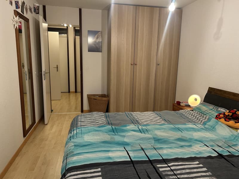 Appartement ensoleillé de 4,5 pièces à Breitsch (7)