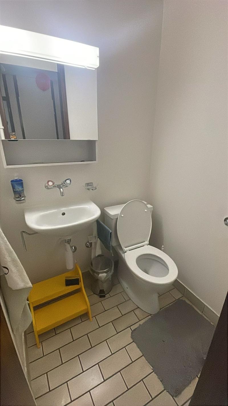 Appartement ensoleillé de 4,5 pièces à Breitsch (10)