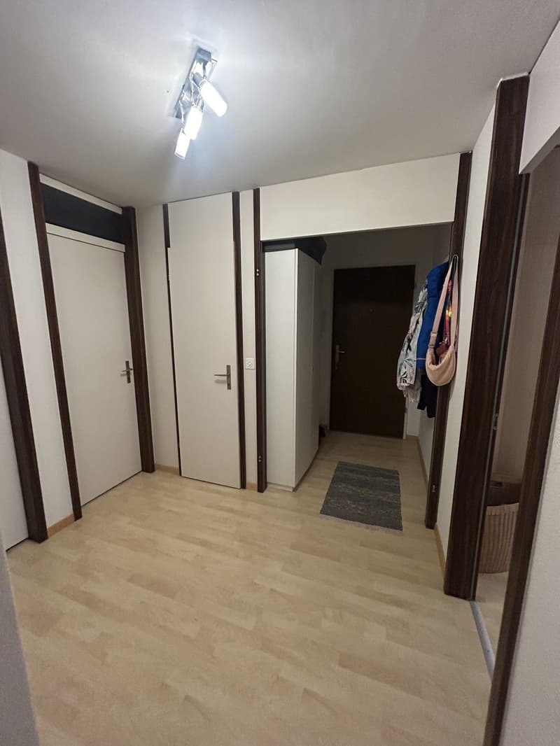 Appartement ensoleillé de 4,5 pièces à Breitsch (8)
