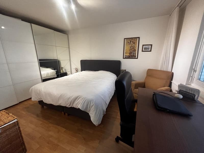 2.5 stanze a Wiedikon (4)