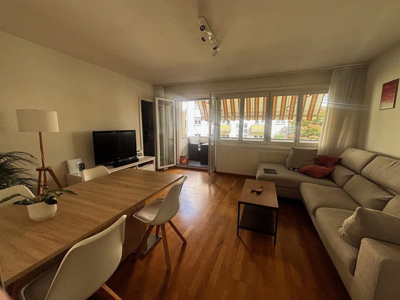 2.5 stanze a Wiedikon (1)