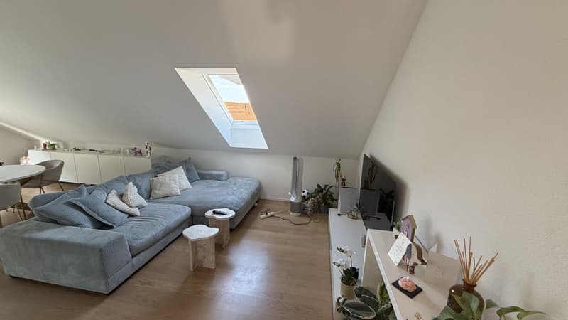Charmant appartement 2,5 pièces à Bassersdorf (7)