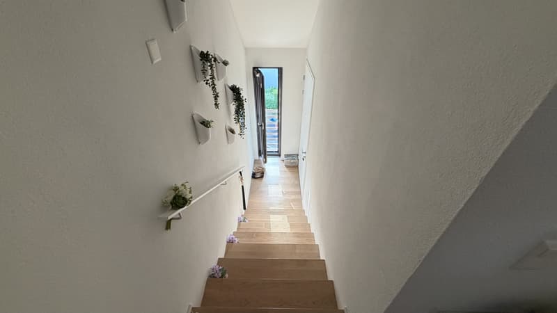 Charmant appartement 2,5 pièces à Bassersdorf (6)