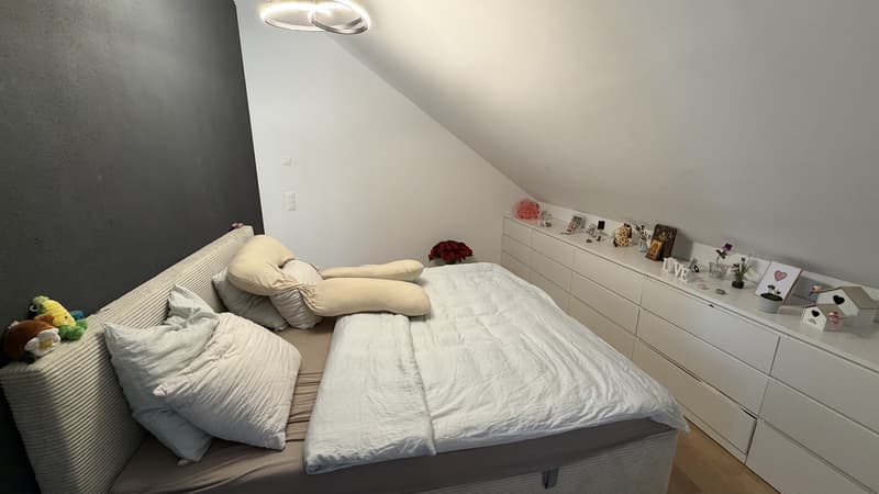 Charmant appartement 2,5 pièces à Bassersdorf (3)