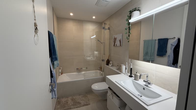 Charmant appartement 2,5 pièces à Bassersdorf (4)