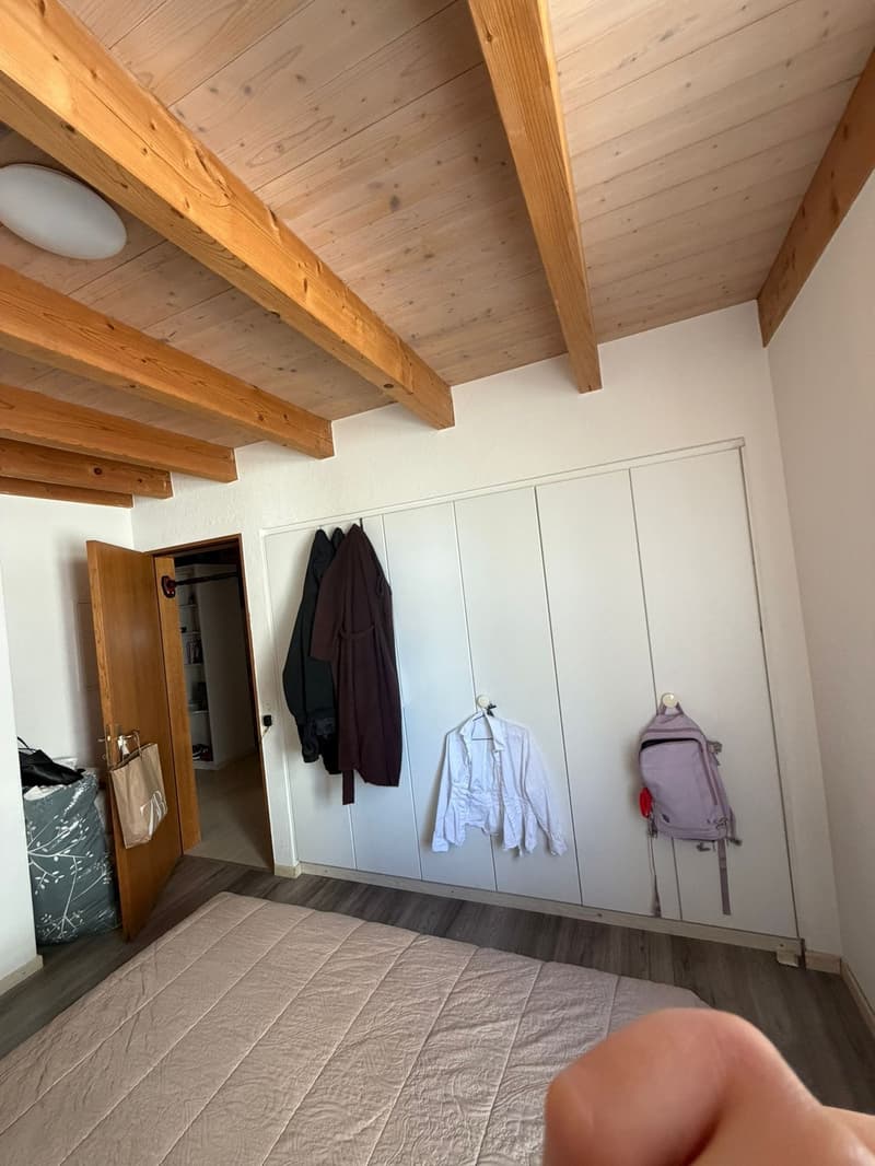 Appartamento in affitto a Uster (4)