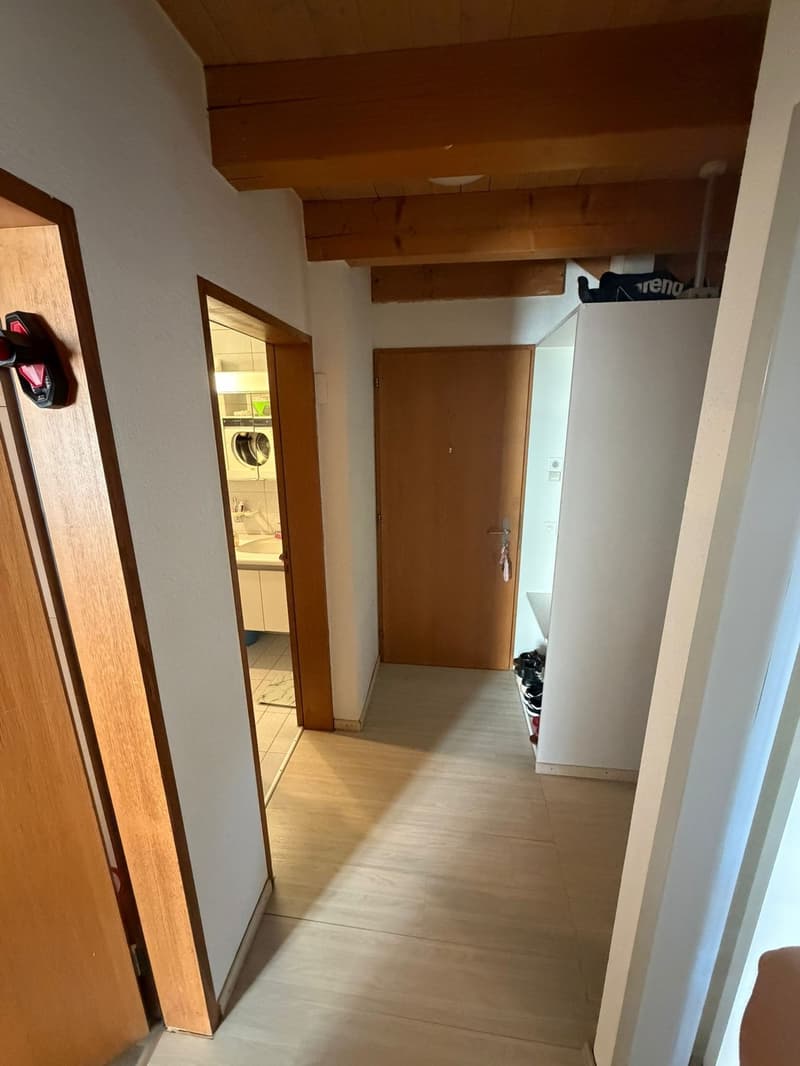 Appartamento in affitto a Uster (2)