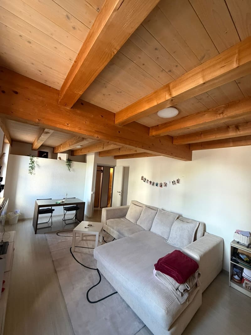 Appartamento in affitto a Uster (1)