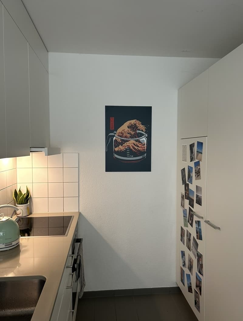 Appartamento luminoso di 1,5 locali con balcone ad Altstetten (2)