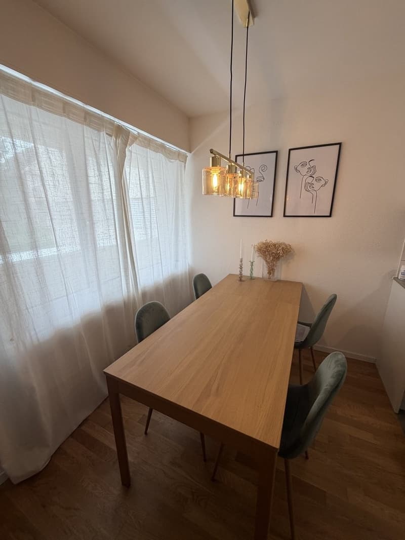 Appartamento luminoso di 1,5 locali con balcone ad Altstetten (3)