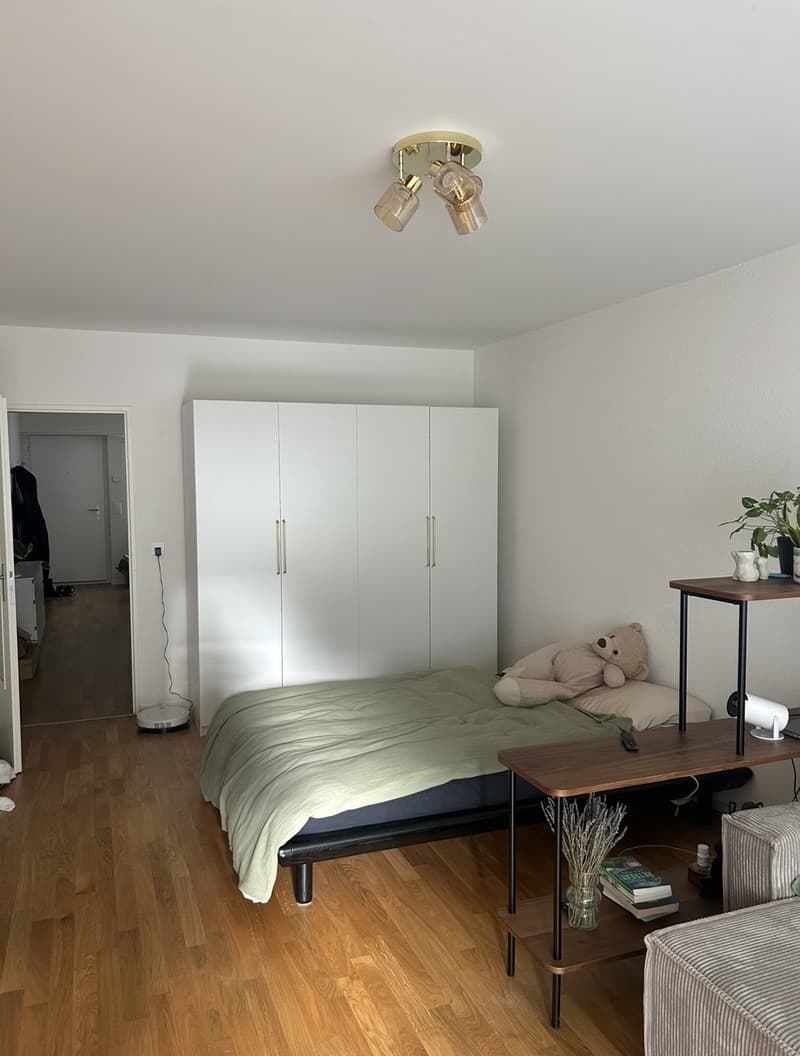 Appartamento luminoso di 1,5 locali con balcone ad Altstetten (4)