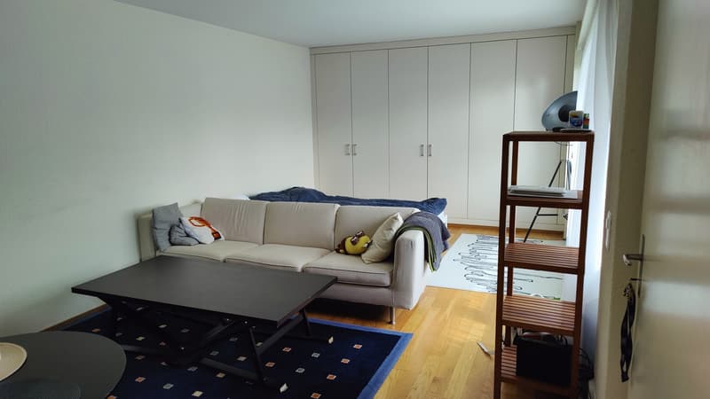 Charming Studio Apartment in Adliswil (1)
