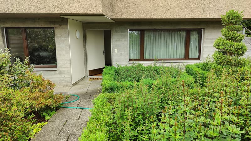 Charming Studio Apartment in Adliswil (11)