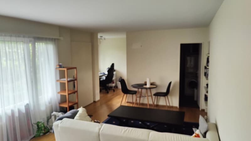 Charming Studio Apartment in Adliswil (3)
