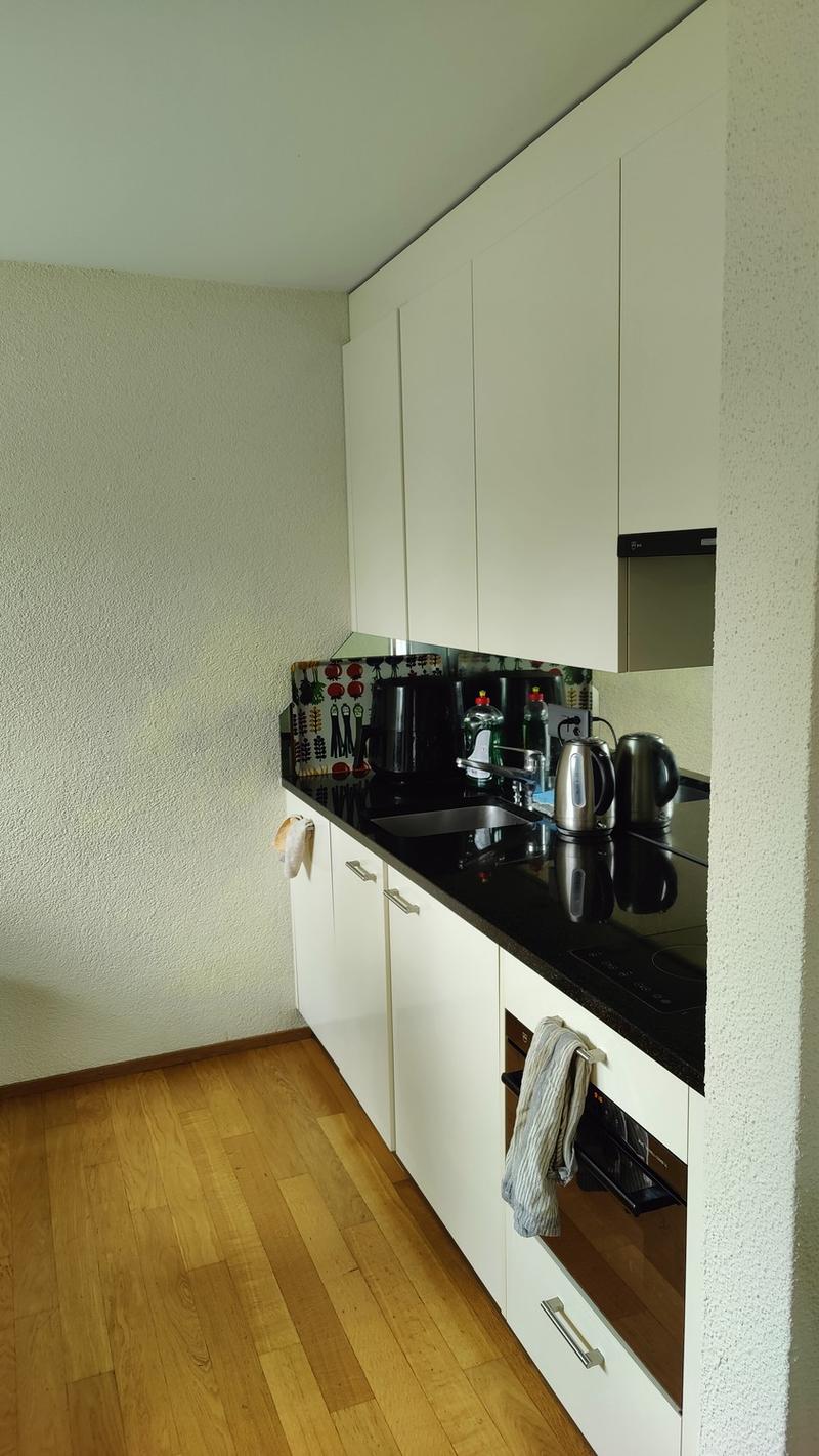 Charming Studio Apartment in Adliswil (10)