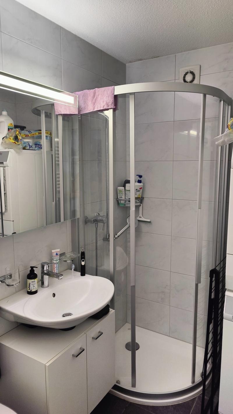 Charming Studio Apartment in Adliswil (8)