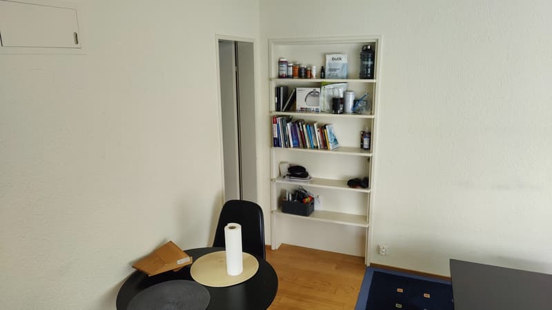 Charming Studio Apartment in Adliswil (4)