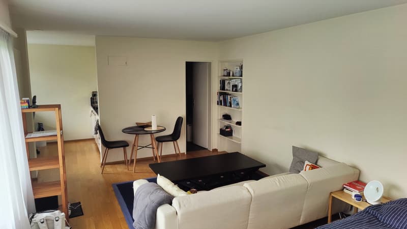 Charming Studio Apartment in Adliswil (5)