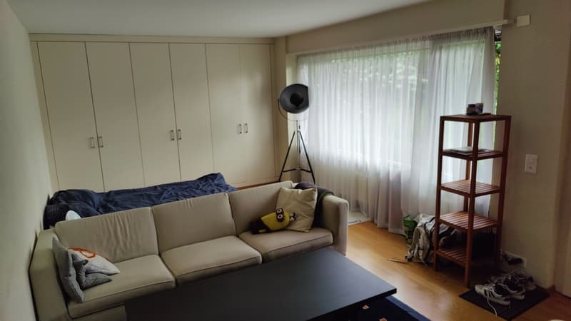 Charming Studio Apartment in Adliswil (7)