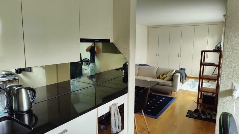 Charming Studio Apartment in Adliswil (2)