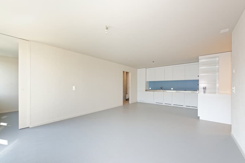 2 ½ locali appartamento, 5400 Baden (1)