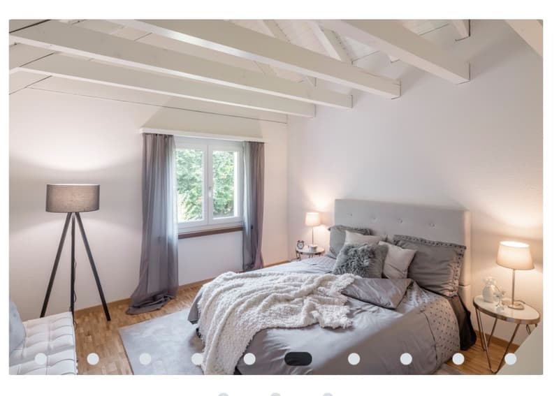 Accogliente appartamento mansardato di 3,5 locali con grande proprietà e balcone (6)