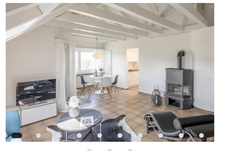 Accogliente appartamento mansardato di 3,5 locali con grande proprietà e balcone (1)