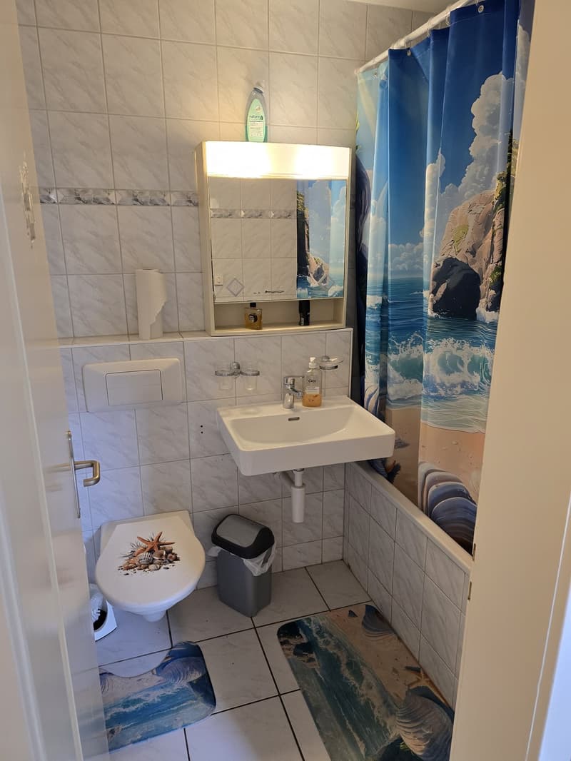 3 ½ locali appartamento, 3027 Berna (4)