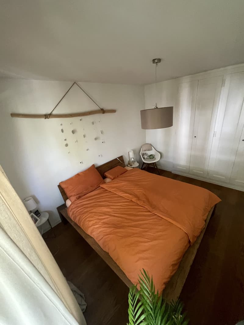 Vivere in modo moderno in una posizione attraente (8)