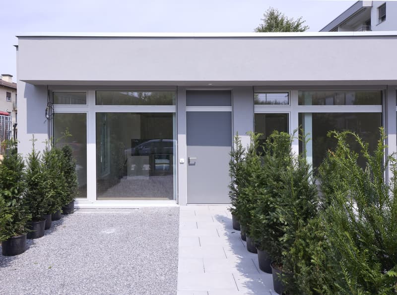 Loft moderno di 2,5 locali ristrutturato nel 2025, disponibile per subaffitto da metà agosto 2026 (8)