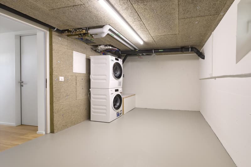 Loft moderno di 2,5 locali ristrutturato nel 2025, disponibile per subaffitto da metà agosto 2026 (9)