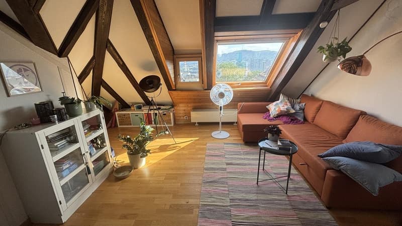 Delizioso appartamento mansardato a Wipkingen (1)