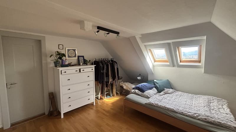 Delizioso appartamento mansardato a Wipkingen (3)