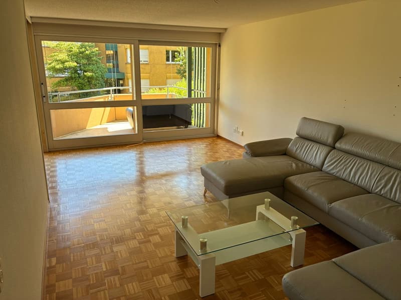 Ampio e luminoso appartamento di 4,5 locali a Zürich-Witikon cerca un subaffittuario (1)