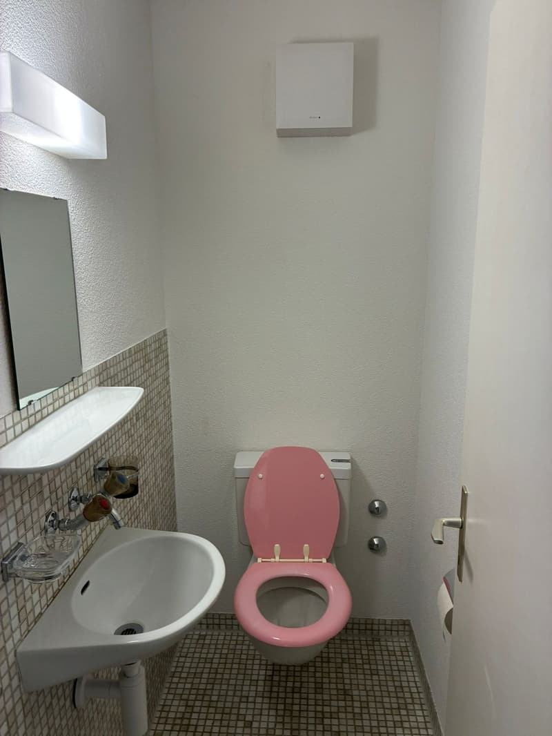Ampio e luminoso appartamento di 4,5 locali a Zürich-Witikon cerca un subaffittuario (4)