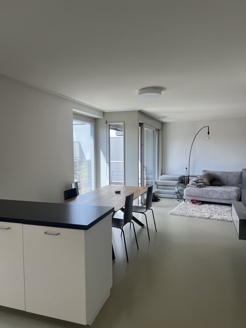 Beloved temporary summer sublease 1. month only (1)