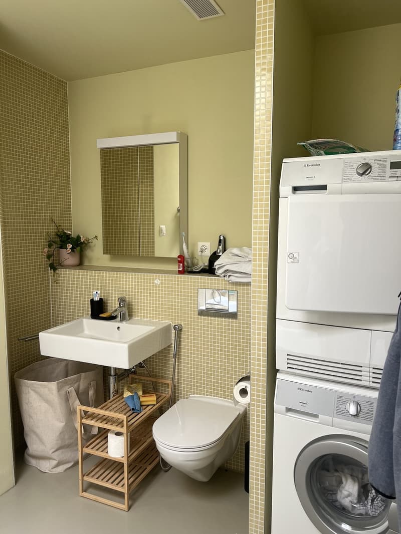 Beloved temporary summer sublease 1. month only (4)