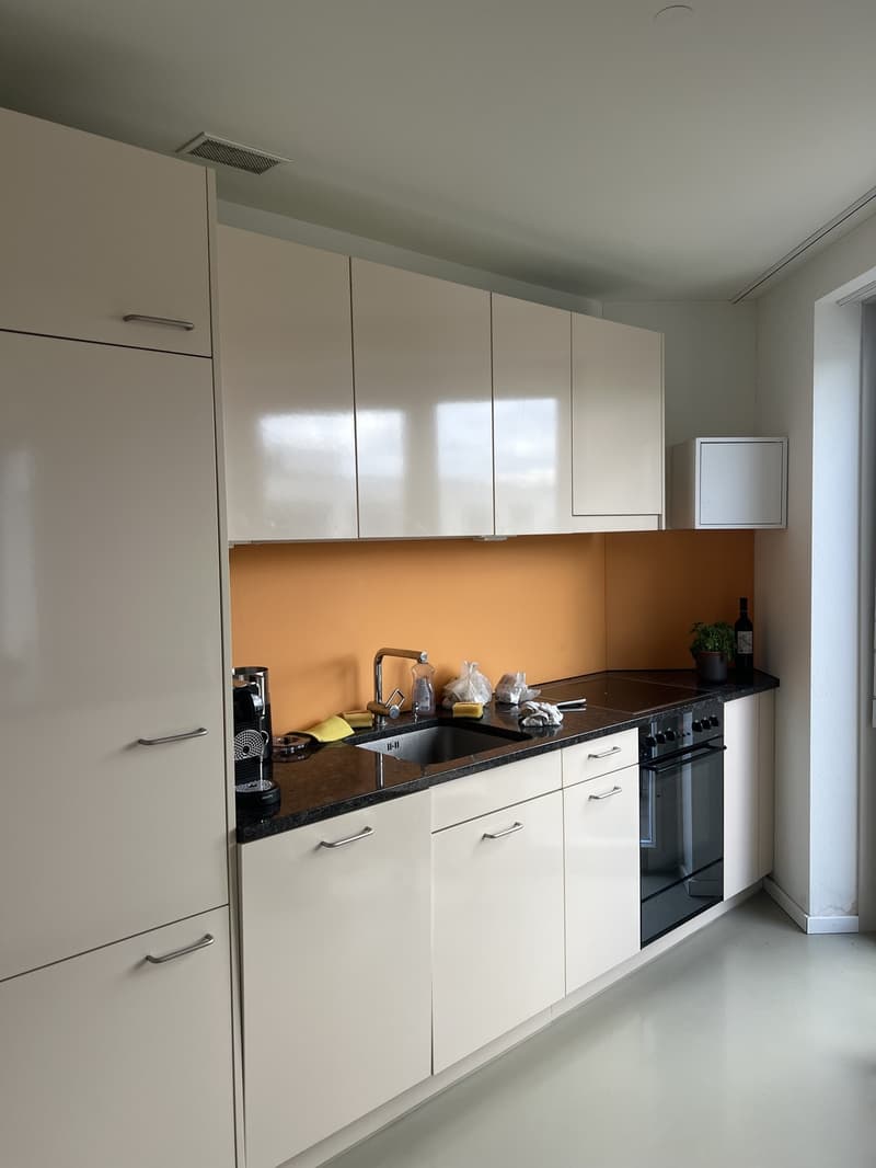 Beloved temporary summer sublease 1. month only (3)